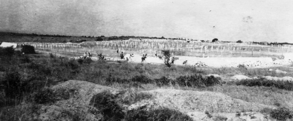 Spirits of Gallipoli - Twelve Tree Copse Cemetery